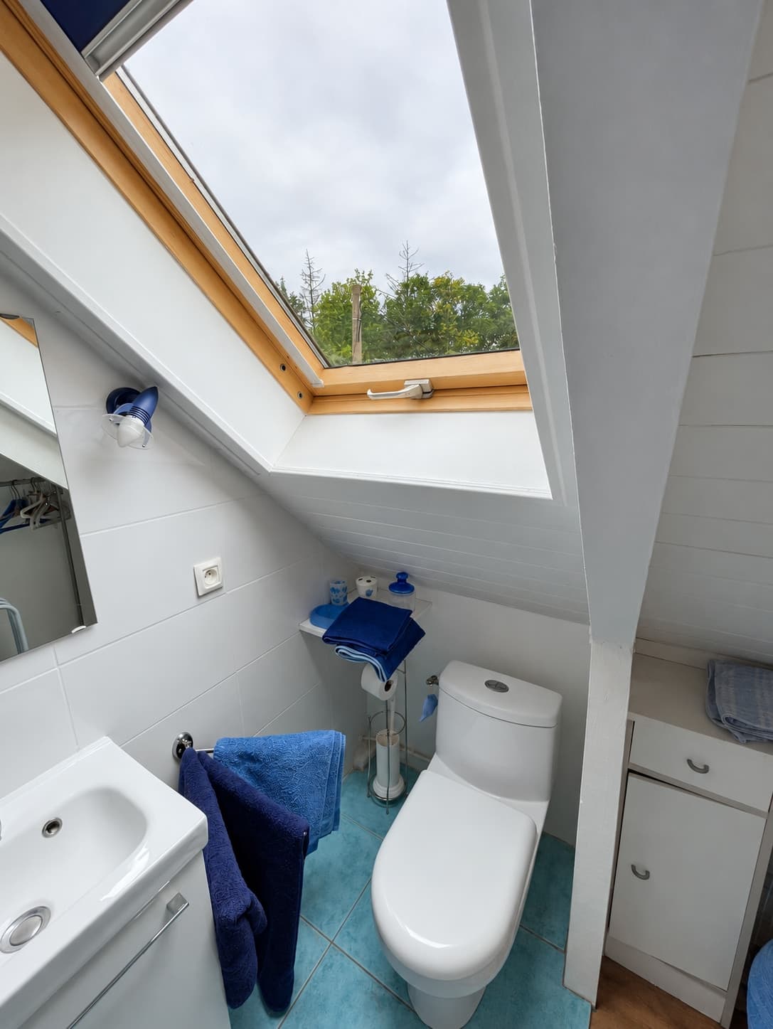 Chambre Bleue : la salle de bain sous la verrière